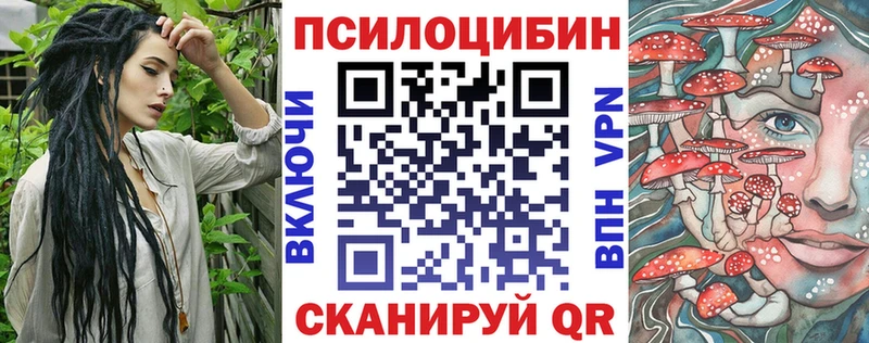 Галлюциногенные грибы Psilocybe  Купить  Нестеров 